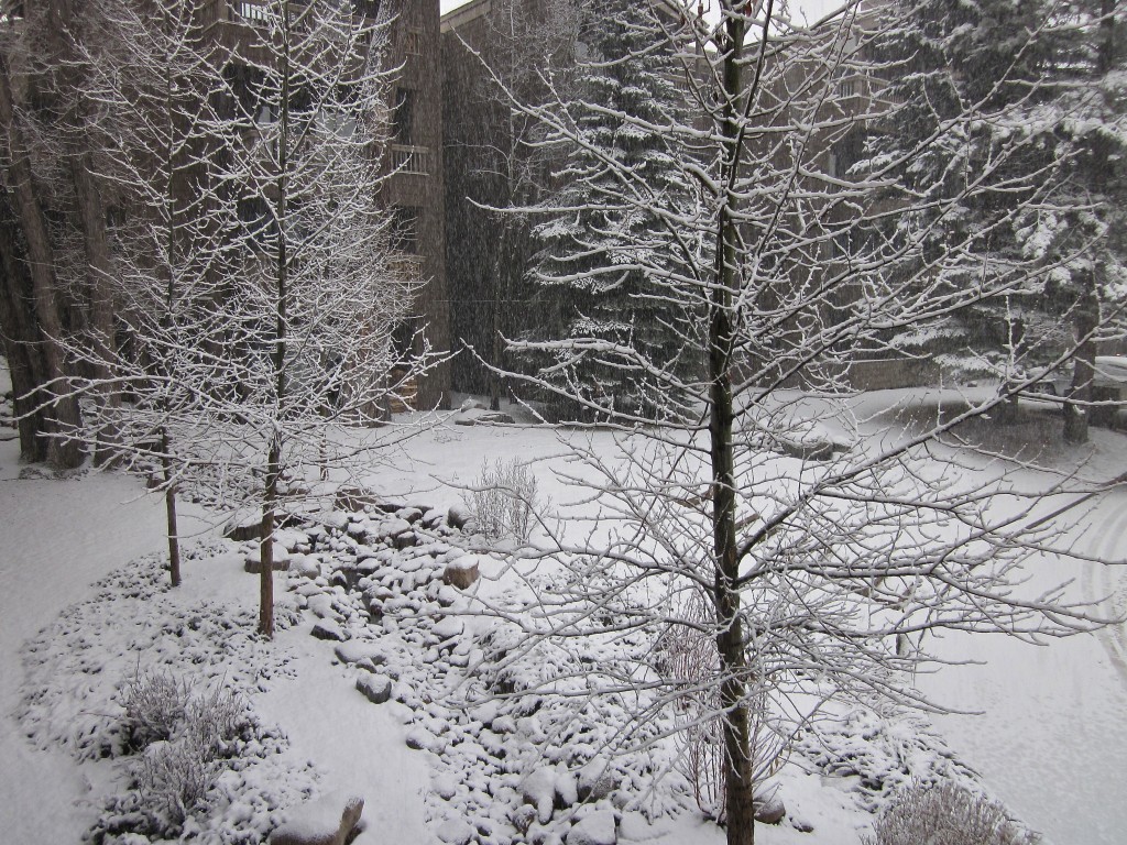 Springtime in Colorado