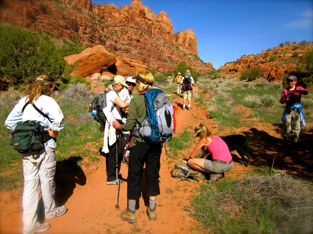 After the initial climb up to Hidden Valley. Headed towards the Peaks ahead.