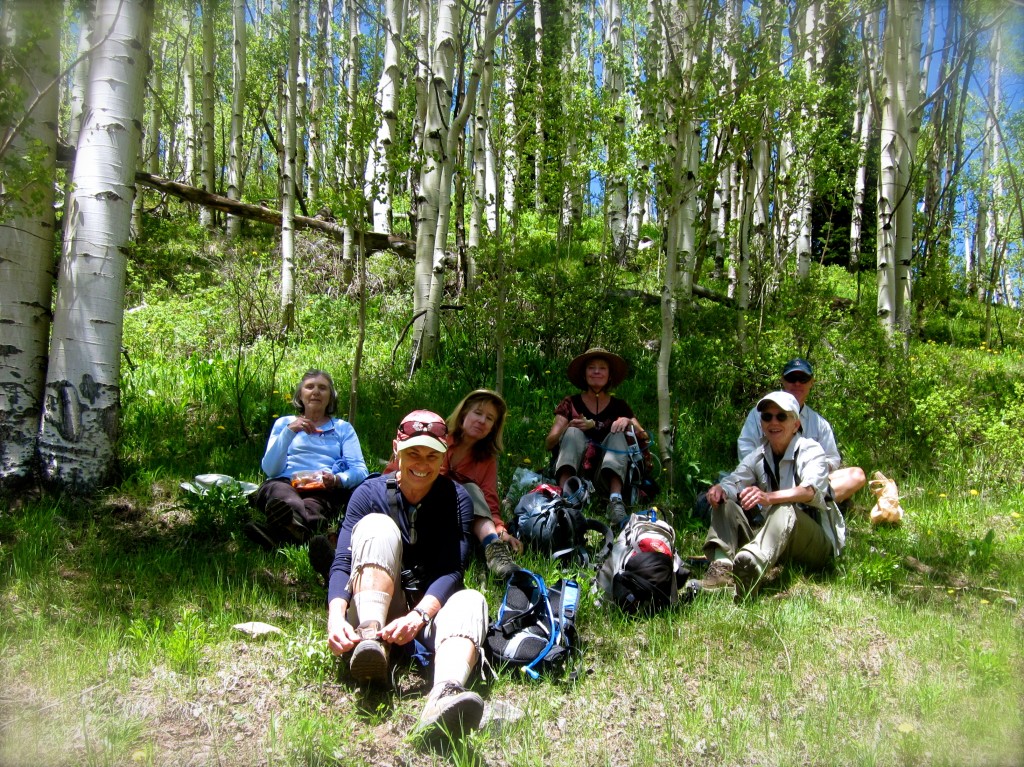 A full-day wildfire and birding field trip.  After a 7am meet-up aty the trailhead, we finally stopped for lunch at 12:30pm. I was thinking about my sandwich by 11am. 