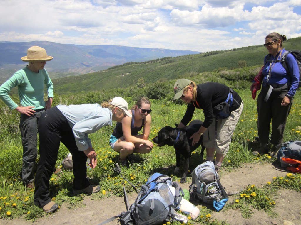 Although we weren't on official duty, the six of us, all Rangers, stopped to help this injured black lab. Francine is not only a wildflower expert but also a veterinarian. 