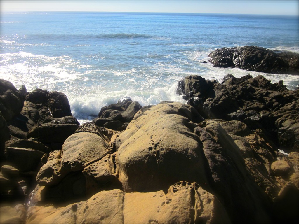 The end of the trail at Harmony Headlands. My favorite spot for a picnic lunch.