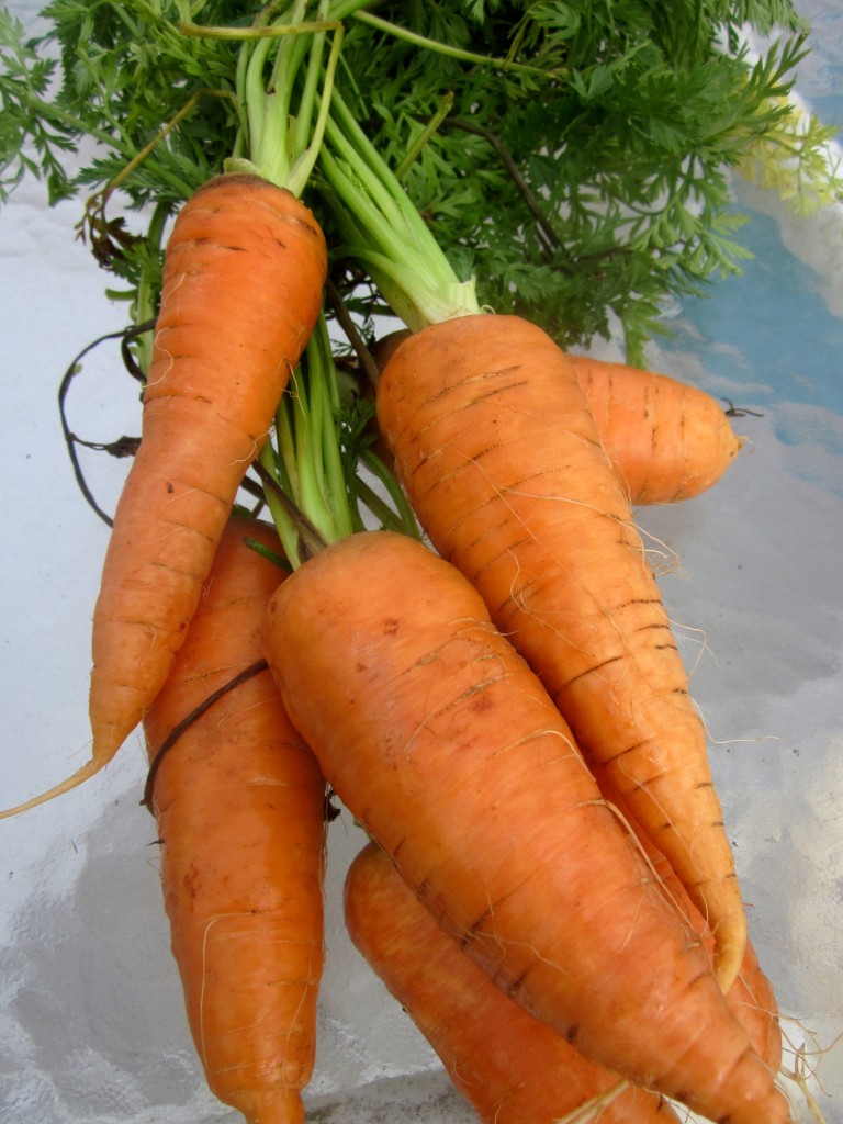 Spiced Butter-Glazed Carrots