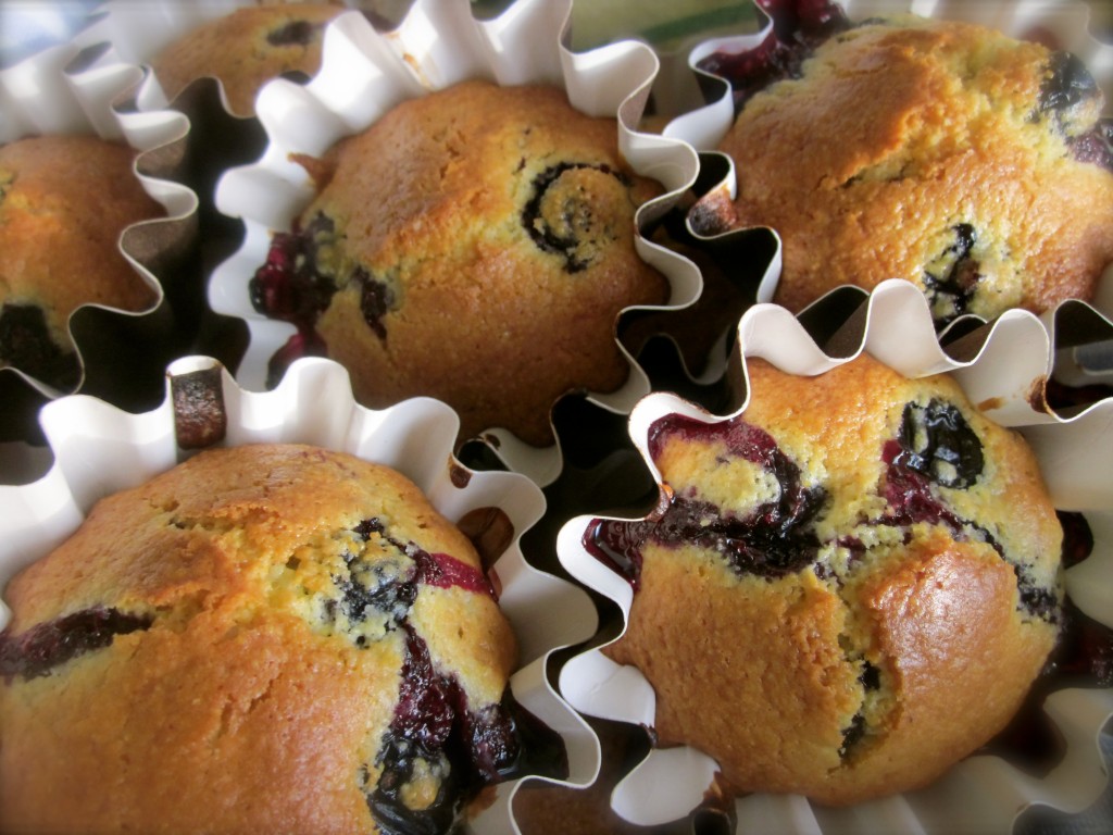 Blueberry-Corn Muffins added a touch of sweetness to the spicy seafood.