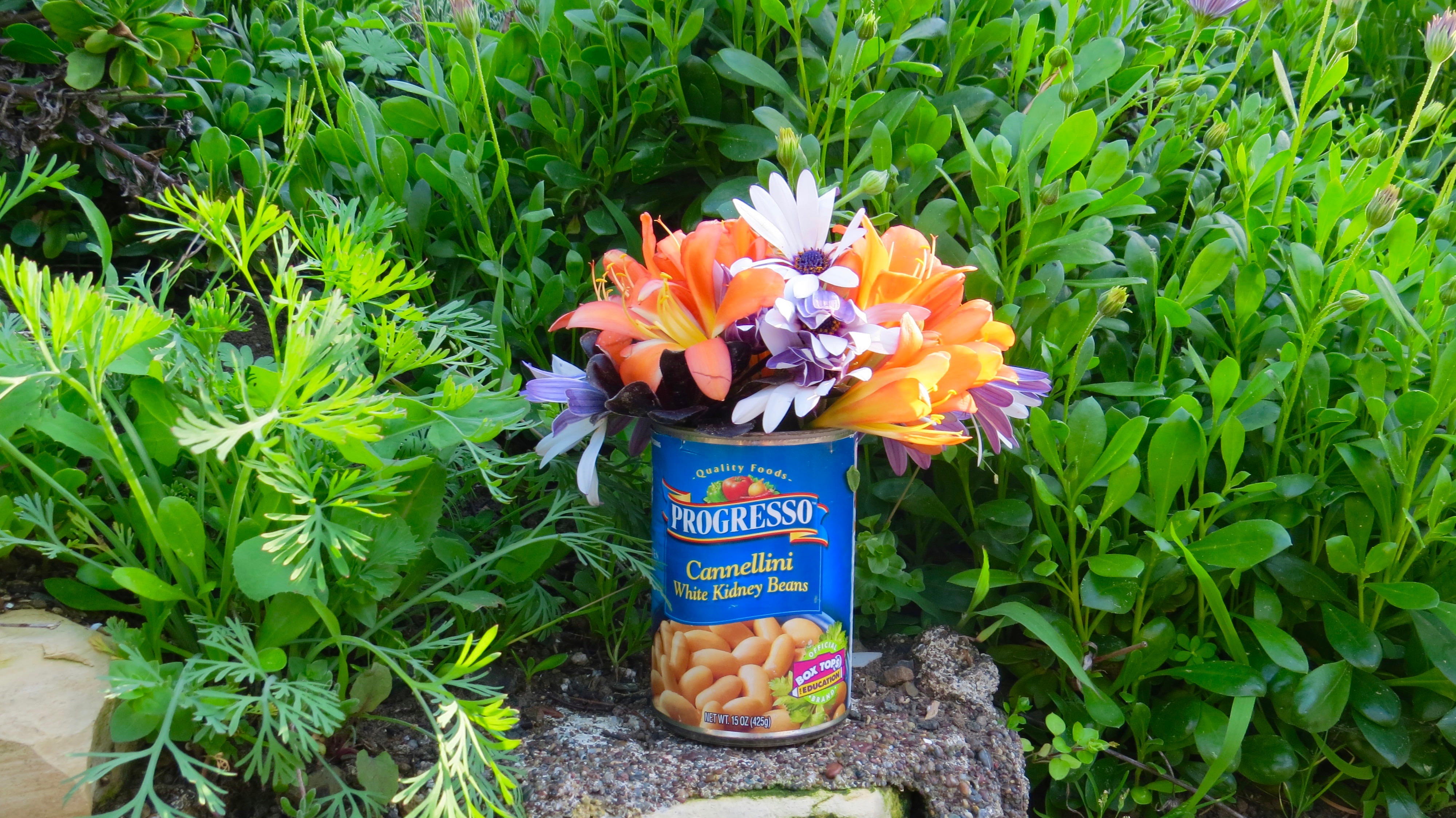My yard is a flower shop but no container in sight around here.  So I retrieved my cannellini can from the bin and made my own vessel for my bouquet. 