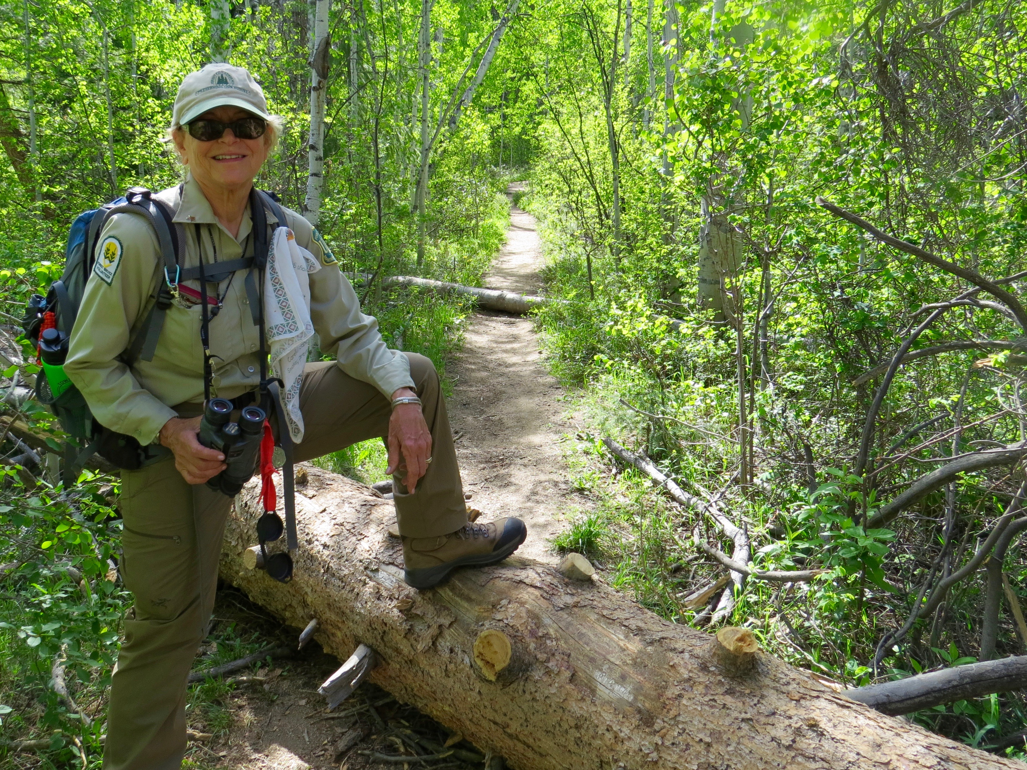 In June we volunteers check the trails for fallen trees and report back to the USFS. They send crews to clear the  pathways.  My friend, Donna Grauer and I thought these logs were a bit too much for us.  